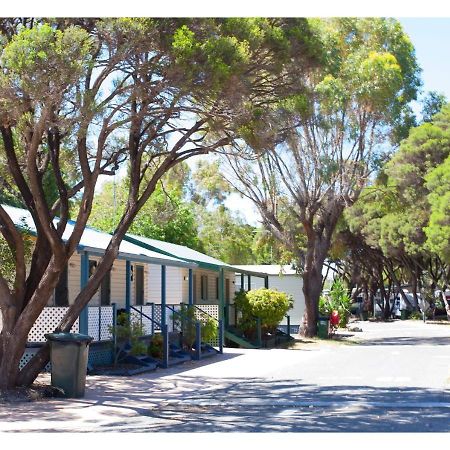 Discovery Parks - Coogee Beach Екстериор снимка